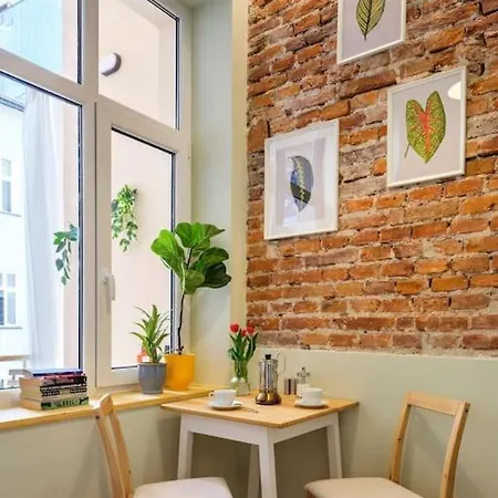 Crocus narrow studio / Kochanowskiego-2